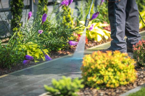Best Roof Washing  in Ashland, NJ